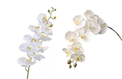 Orchid Single Stem Flower 68Cm