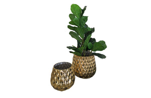 Set of 2 - Teagon Planter - Large/Small