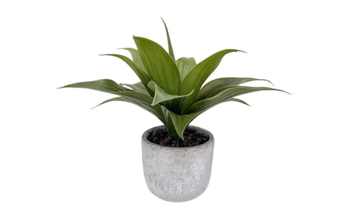 Artificial Aloe Vera in Cement Pot