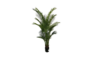 Artificial Palm Tree Plant - 170cm