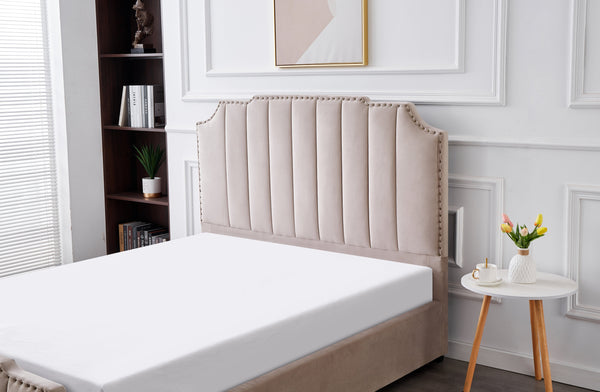 Santosa Velvet Bed - Champagne