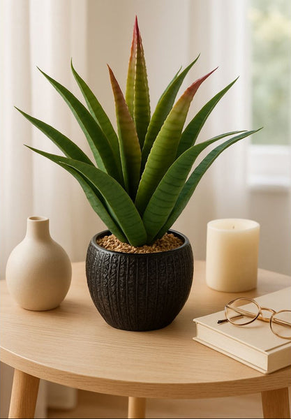 Potted aloe plant on a wooden table with a vase and candle in a softly lit room.