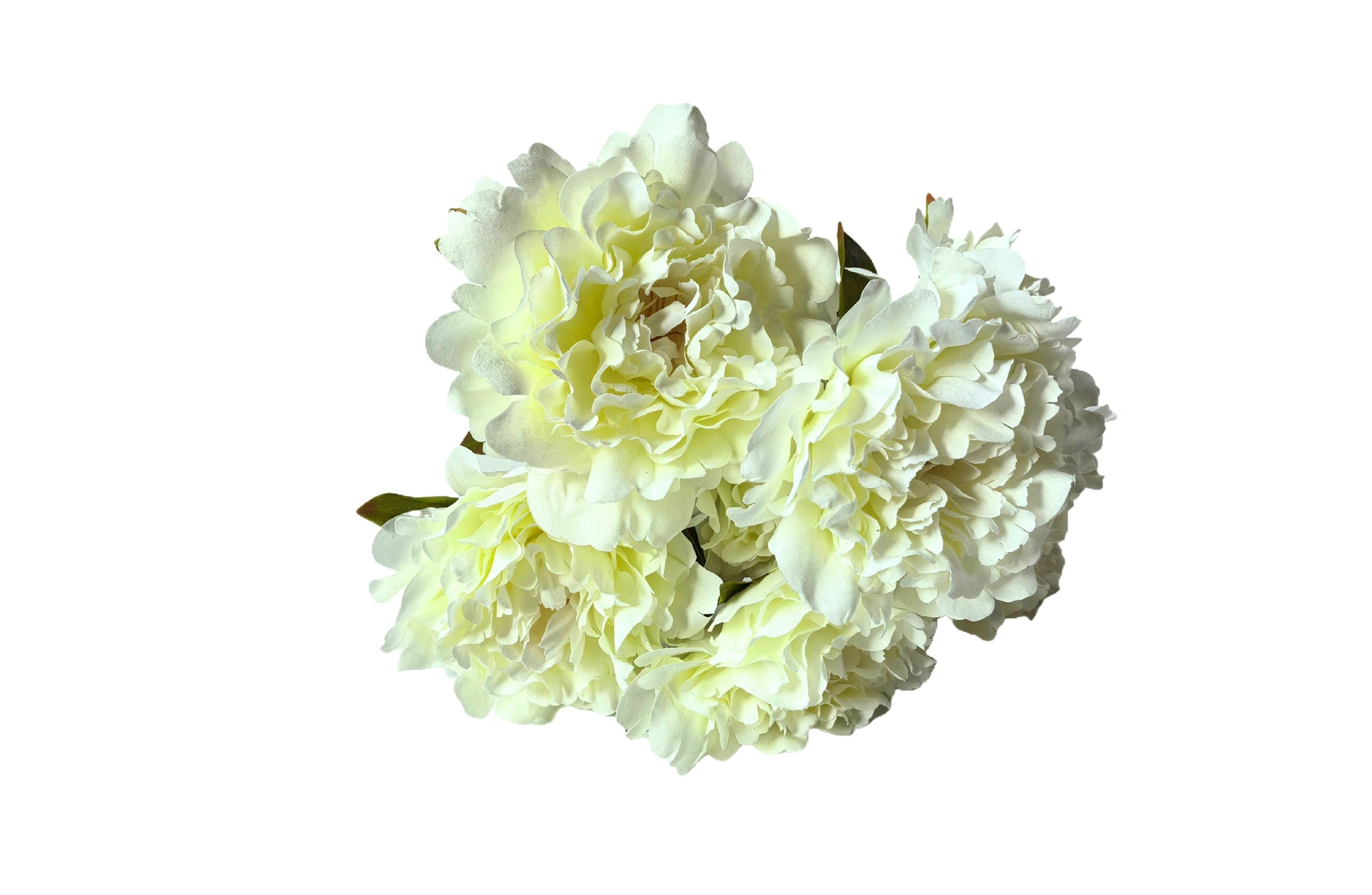 Artificial White Bloomed Peony Bunch – 45cm classic and lifelike peonies for timeless décor