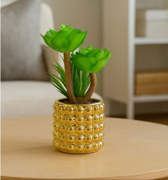 Small gold potted plant in a decorative gold pot on a table with a blurred background