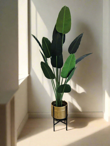 Rex Gold Planter in a sunlit modern interior, featuring lush green plant in an elegant gold and black planter stand