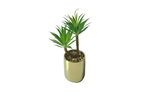  Lifelike twin-stem succulent plant in a sleek gold pot with decorative pebbles, 23cm tall.