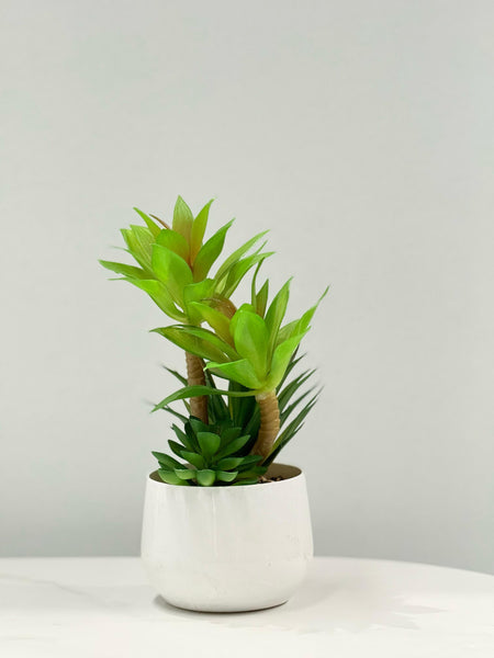  Lifelike 23cm artificial succulent in a sleek white pot, styled in a modern interior setting – perfect for desks, shelves, or tables