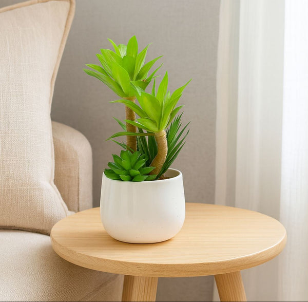 Potted plant on a wooden side table with a neutral background