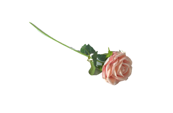 Elegant soft pink rose stem, perfect for romantic floral styling.