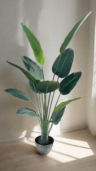 Elegant bird of paradise plant styled in natural sunlit corner.