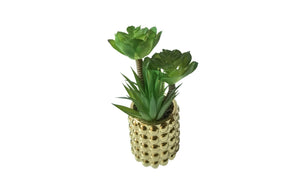 Chic faux succulent in a shiny gold bubble pot on white background.