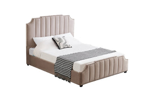 Santosa Velvet Bed - Champagne