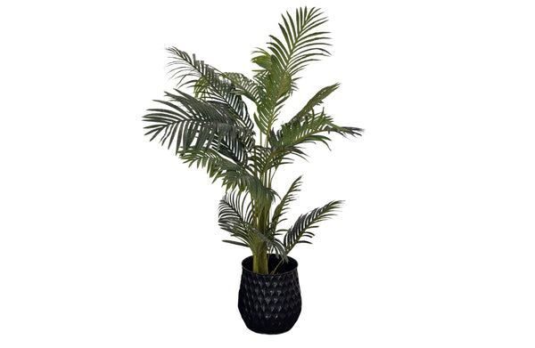 Black Teagon Planter featuring a tall green indoor plant on white background